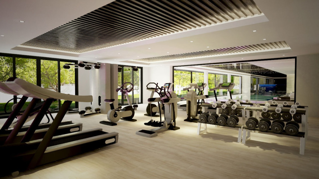 21 Amazing Private Gym Designs For Your Home