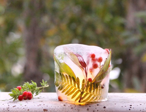 diy-botanical-ice-luminaries-for-outdoors-