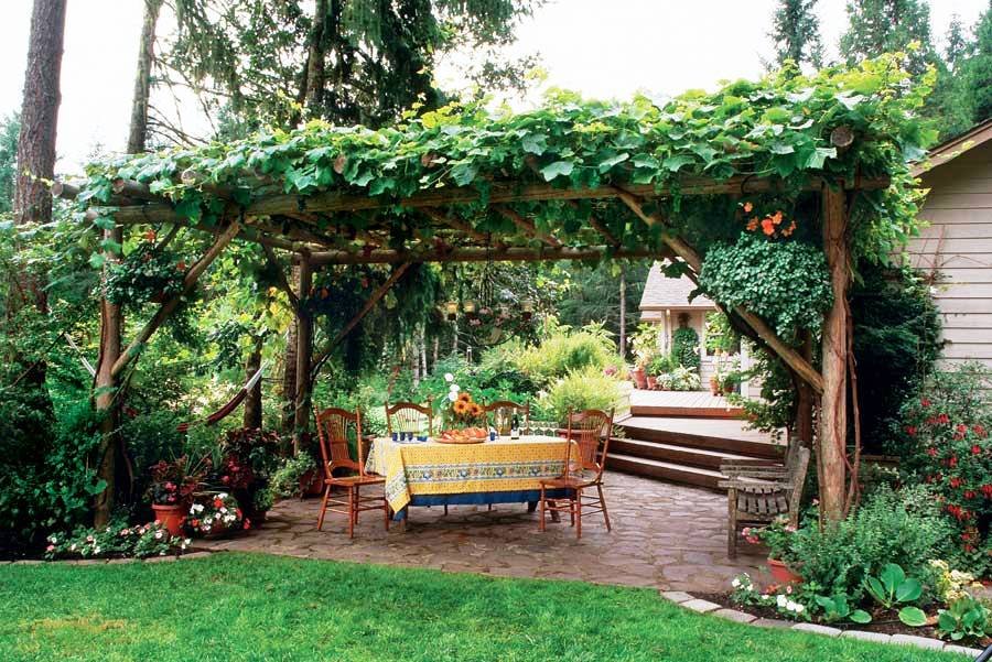 grape arbor patio for sunny hot climes