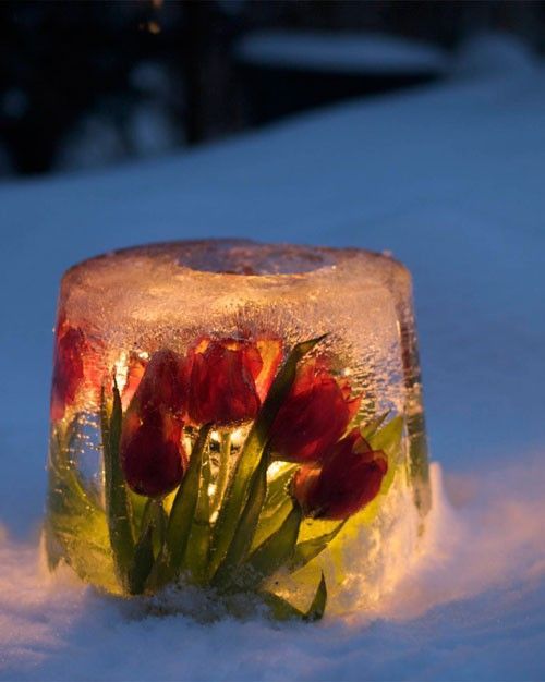 ice latern ideas