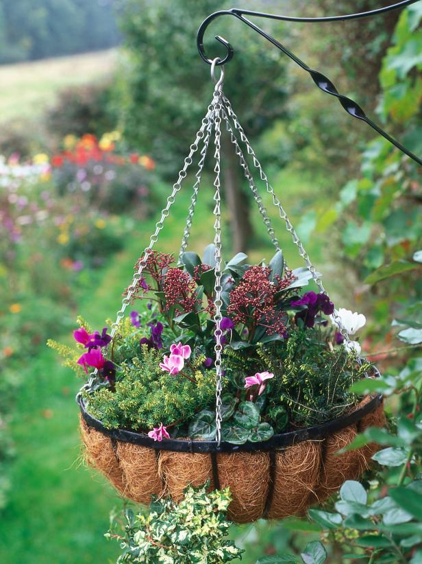 15 Hanging Plants Design Ideas For Your Home