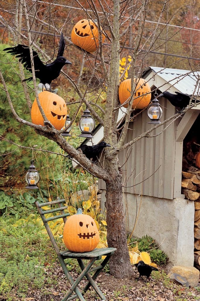 Backyard Halloween Decorations