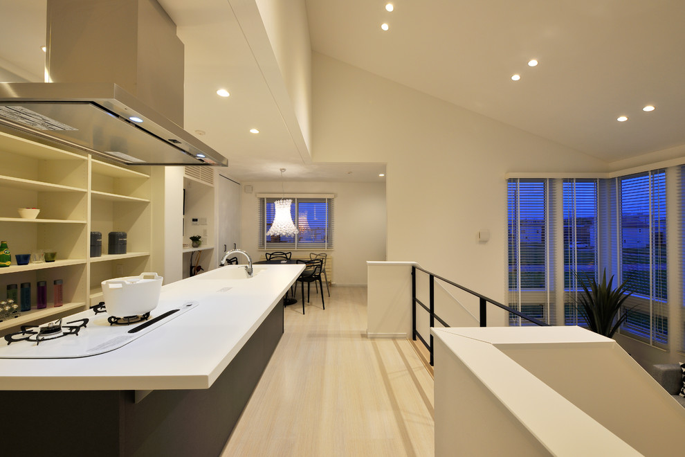 Galley Open Concept Kitchen Galley Open Concept Kitchen