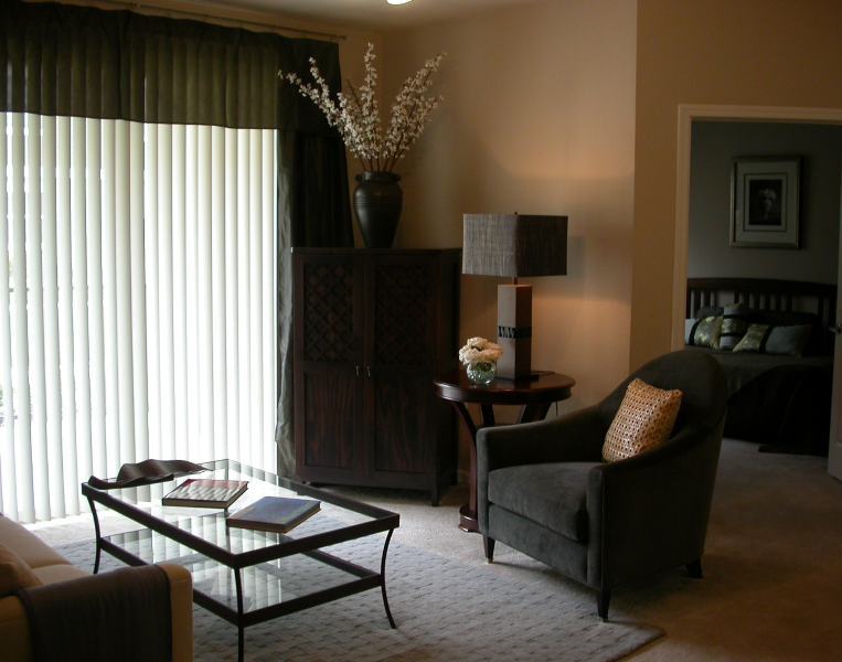 cozy-apartment-living-room-decorating-idea