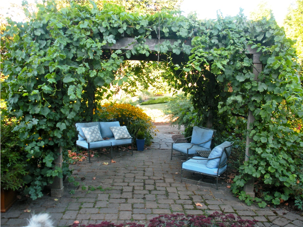 21 Best Patio Grape Arbor Decor Ideas