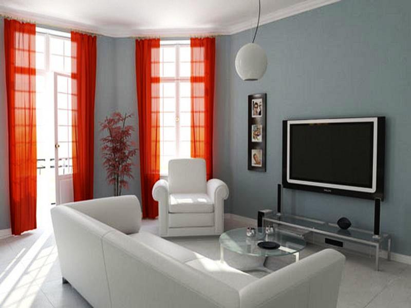 Great-Accent-Walls-Ideas-for-Living-Room
