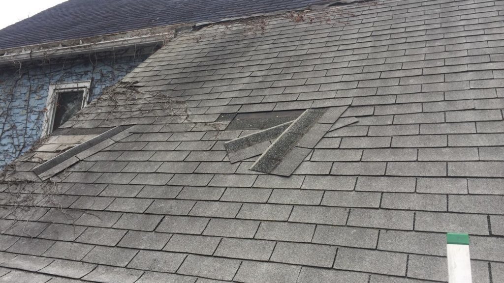Look for Loose Shingles