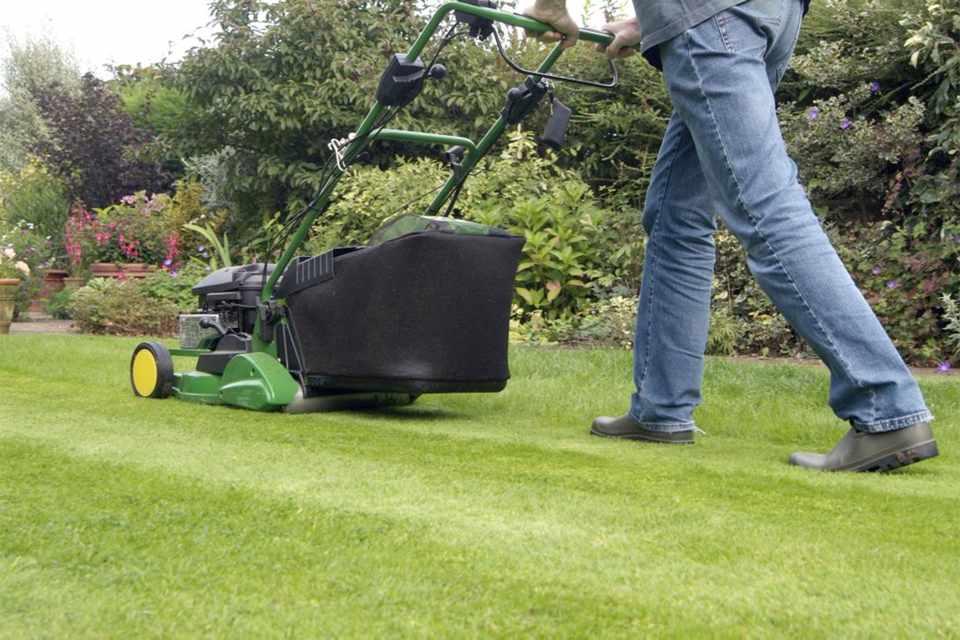 Caring for The Lawn