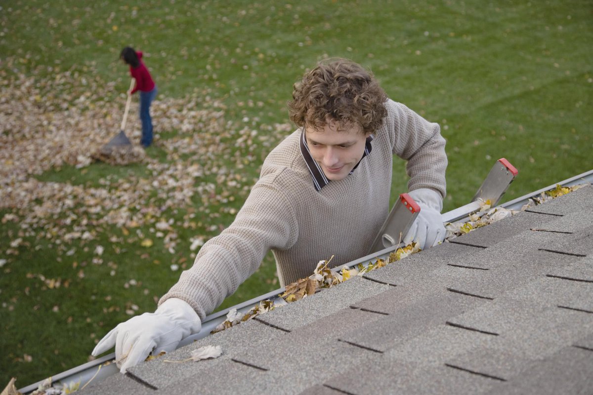 Cleaning Roof Gutters and Downspouts