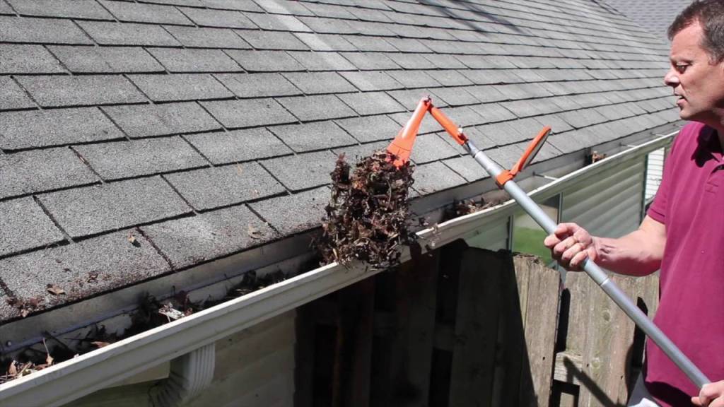 Clean The Roof Gutters