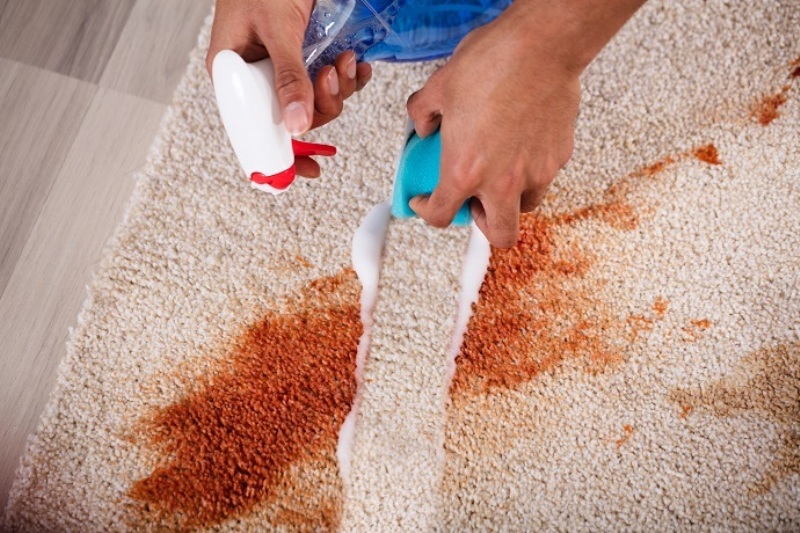 Apply Stain Remover