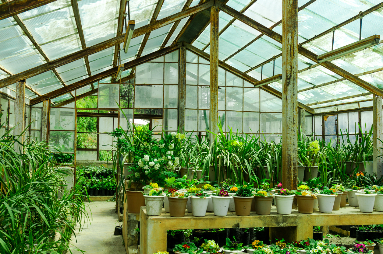 The Amazing Benefits Of Owning A Greenhouse · Wow Decor